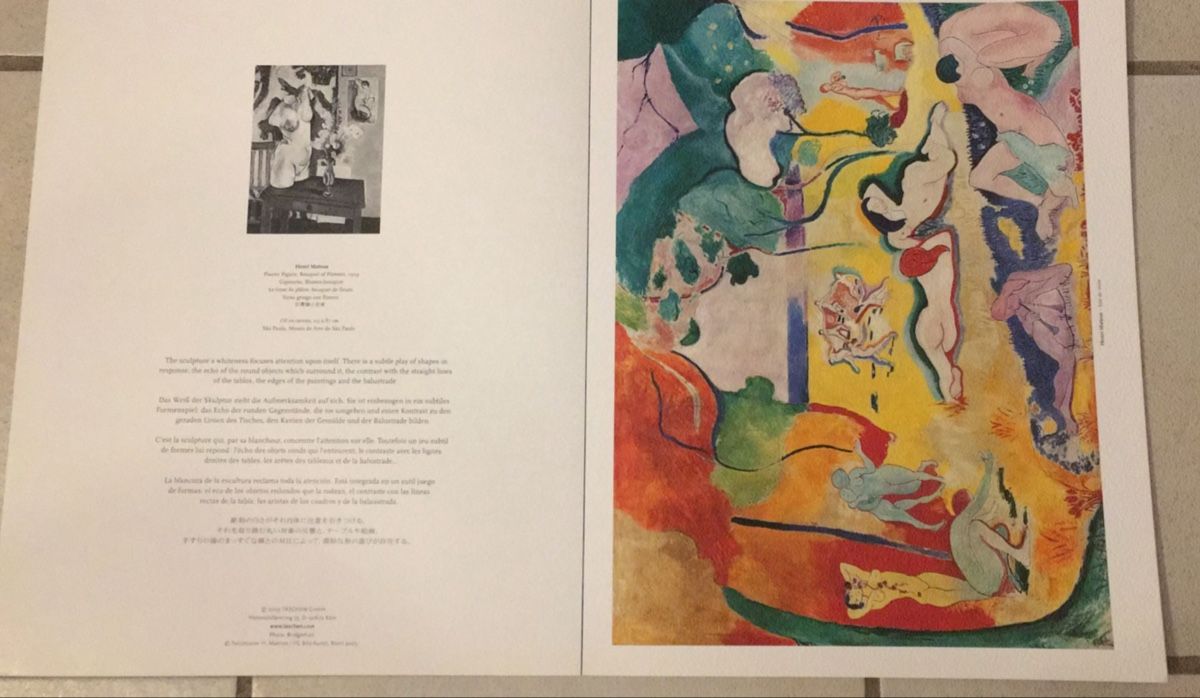 Libri: Portfolio Henri Matisse – Usato da Moutier venduto da Happyvidedressing 3
