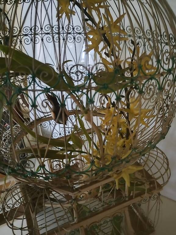 Cages, transport & sécurité: Bird cage  – D'occasion à Wädenswil par kus_2kf7 2