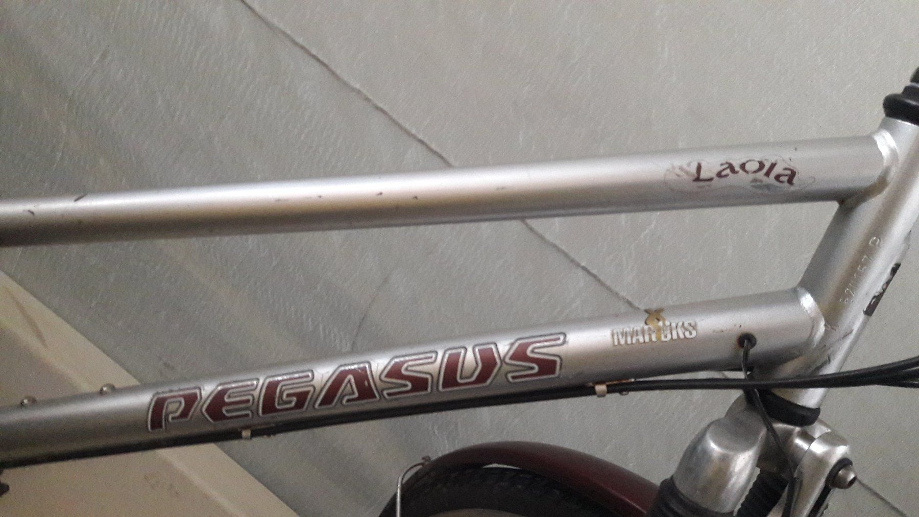 Biciclette: Velo Pegasus – Usato da Laufen venduto da Mann455 2
