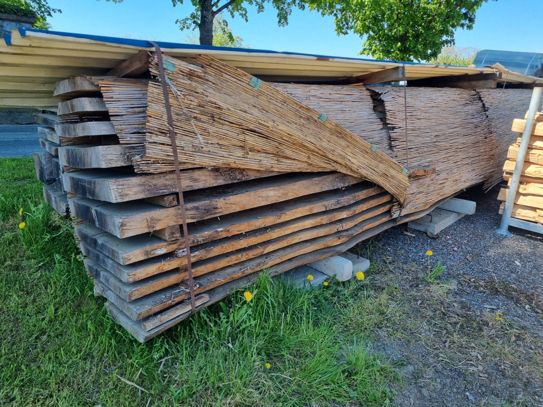 Articoli in legno: Schweizer Eiche, luftrocken – Nuovo (secondo la descrizione) da Worb venduto da schlossgut.worb 3