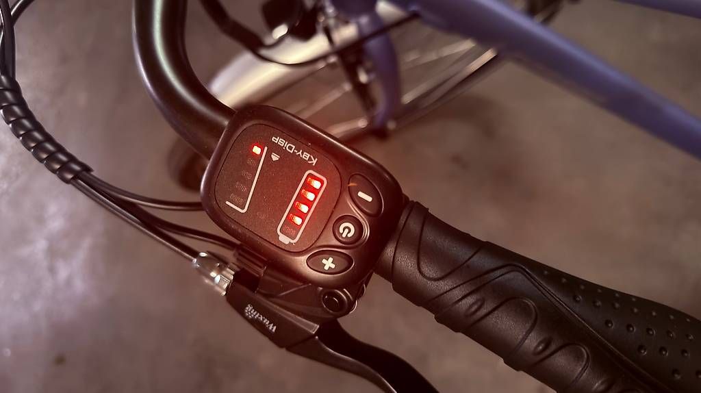 Biciclette: Leopard E-Bike – Nuovo e nell'imballaggio originale da Urtenen-Schönbühl venduto da Cemorra 2