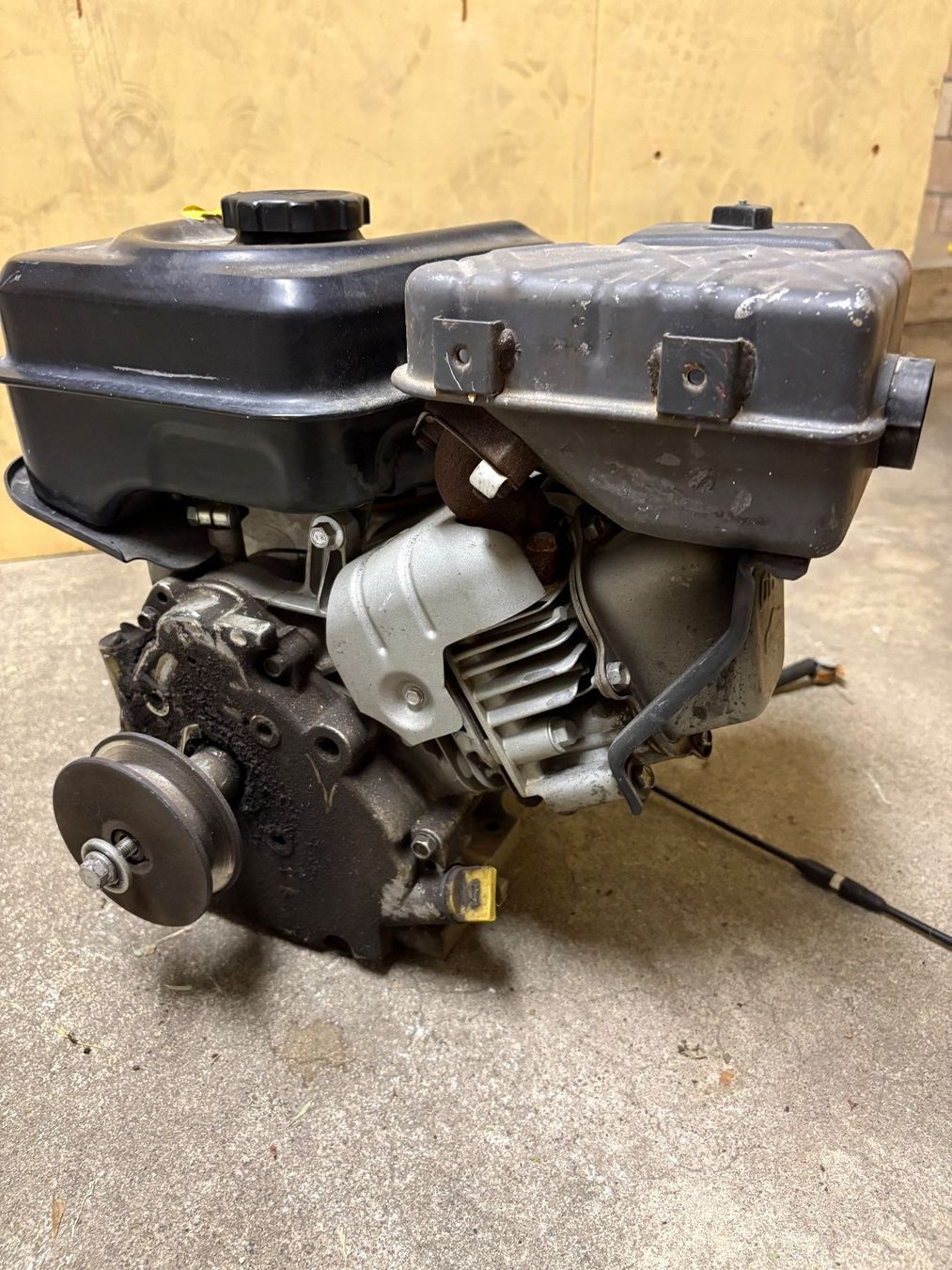 Vanguard  Motori: Vanguard Motor – Usato da Freienstein venduto da rivardo8652848 1