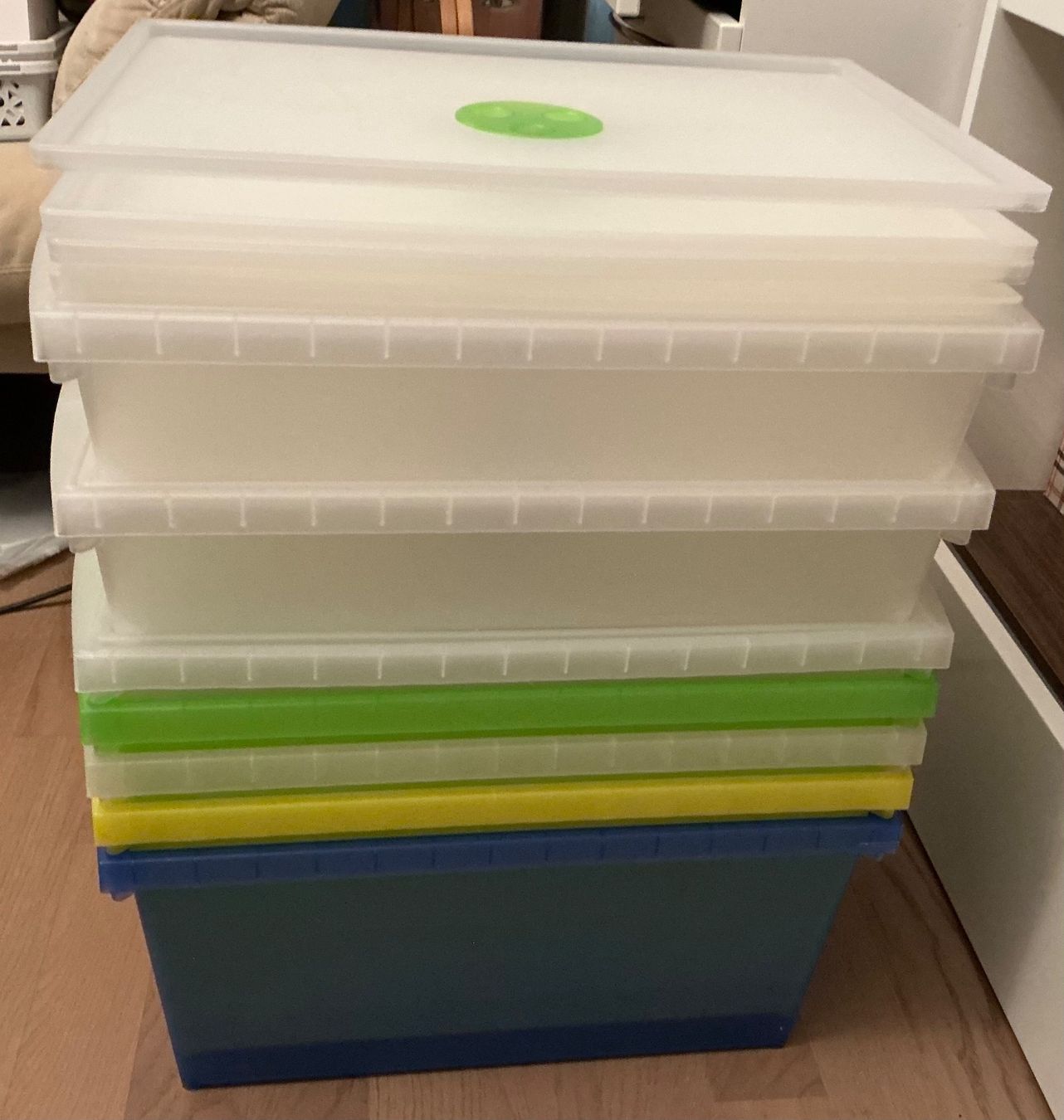Altro in Decorazioni & Accessori: Boîte plastique pour rangement – Usato da Nyon venduto da leo_dhs6 1
