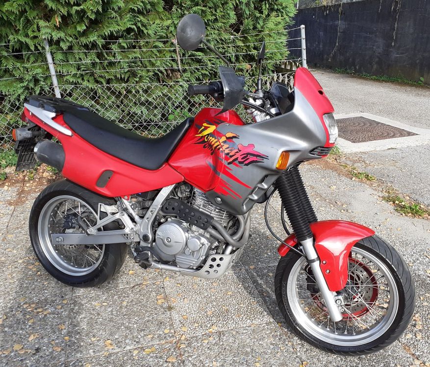Honda NX 650 Dominator Kaufen auf Ricardo