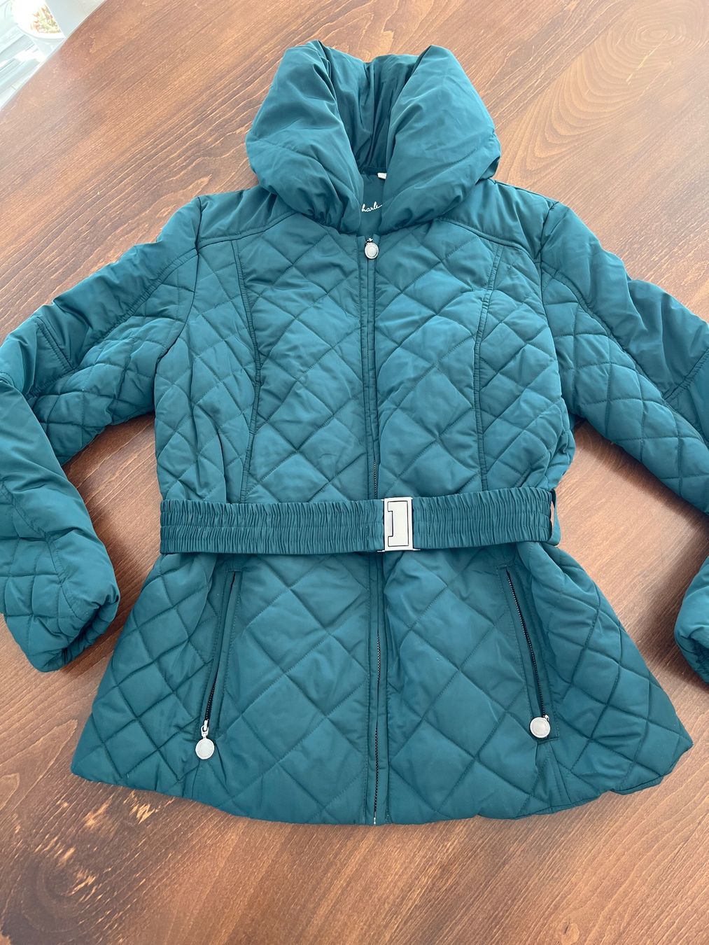 C&A Giacche: Steppjacke Charles Vögele dunkelgrün Grösse 40 PolyDown – Usato da Ebmatingen venduto da Mistelu