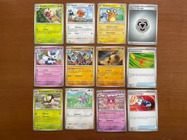 Pokemon 12er Karten Set (Versand gratis)