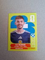 PANINI FIFA 2026 SCO 12