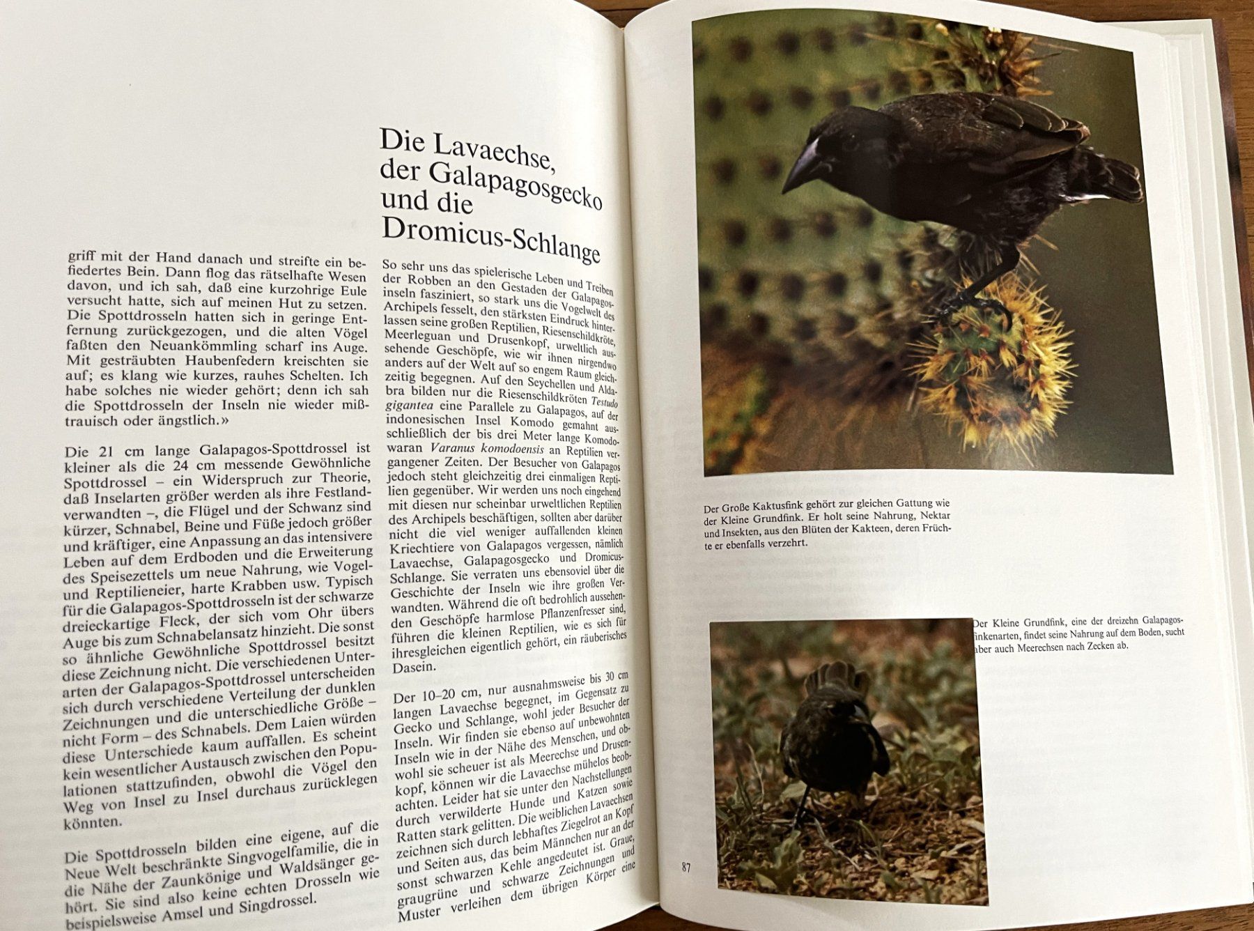 Libri: Silva Verlag, Zoo Galapagos, 1973 – Usato da Oftringen venduto da Vucki 8