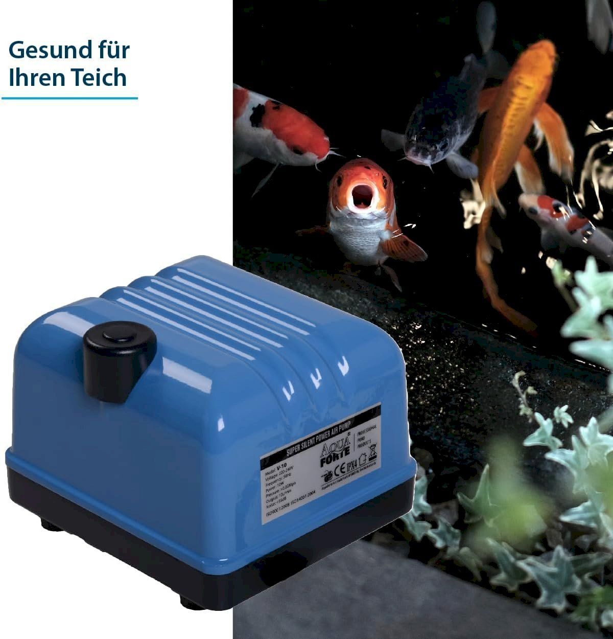 Pumpen & Teile: AquaForte V-Serie Hi-Flow V-60 – Neu und originalverpackt aus Bottighofen von zaap 4
