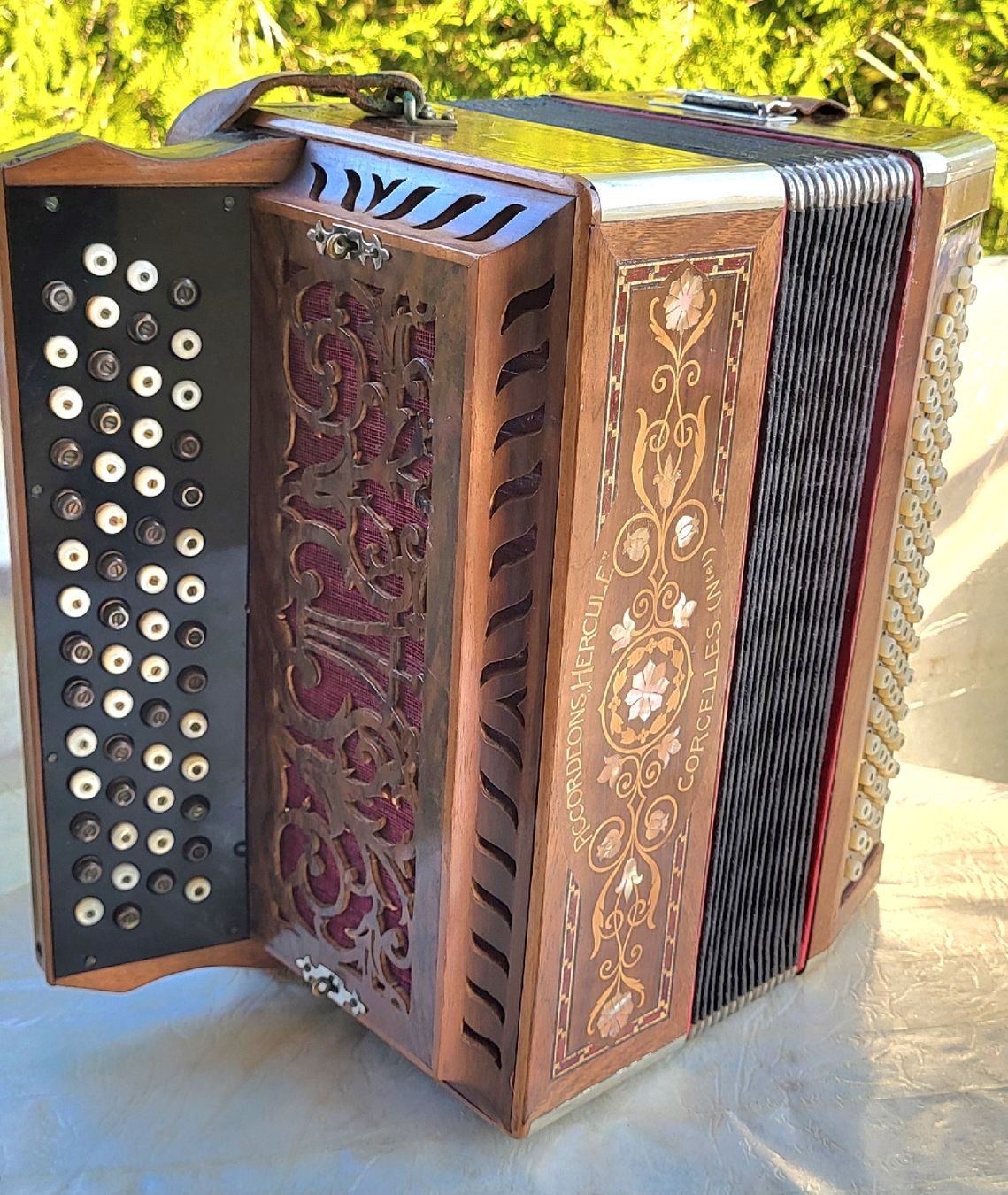 Strumenti musicali: accordéon Hercule suisse – Usato da Penthalaz venduto da EvandroLuz 1