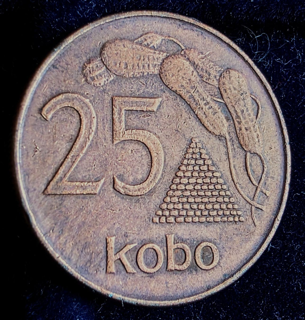 Tutti le monete: NIGERIA 25 KOBO 1991 – Usato da Winterthur venduto da Creso70