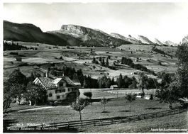 Wildhaus - Pension Rösliwies + ca. 1955