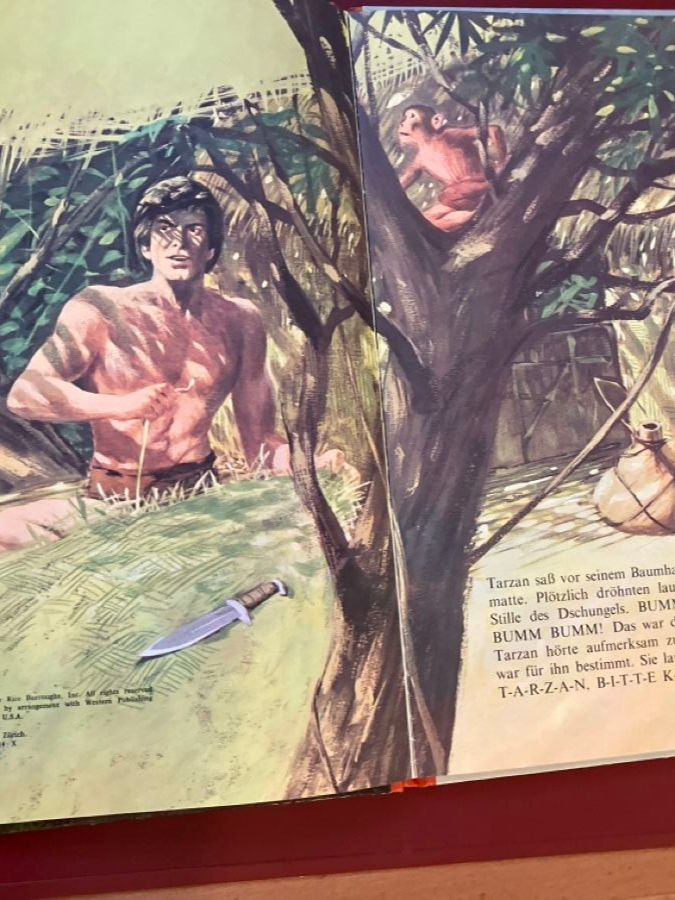 Fumetti: Tarzan von Edgar Rice Burroughs - 1970 – Usato da Bichwil venduto da Bac2 4