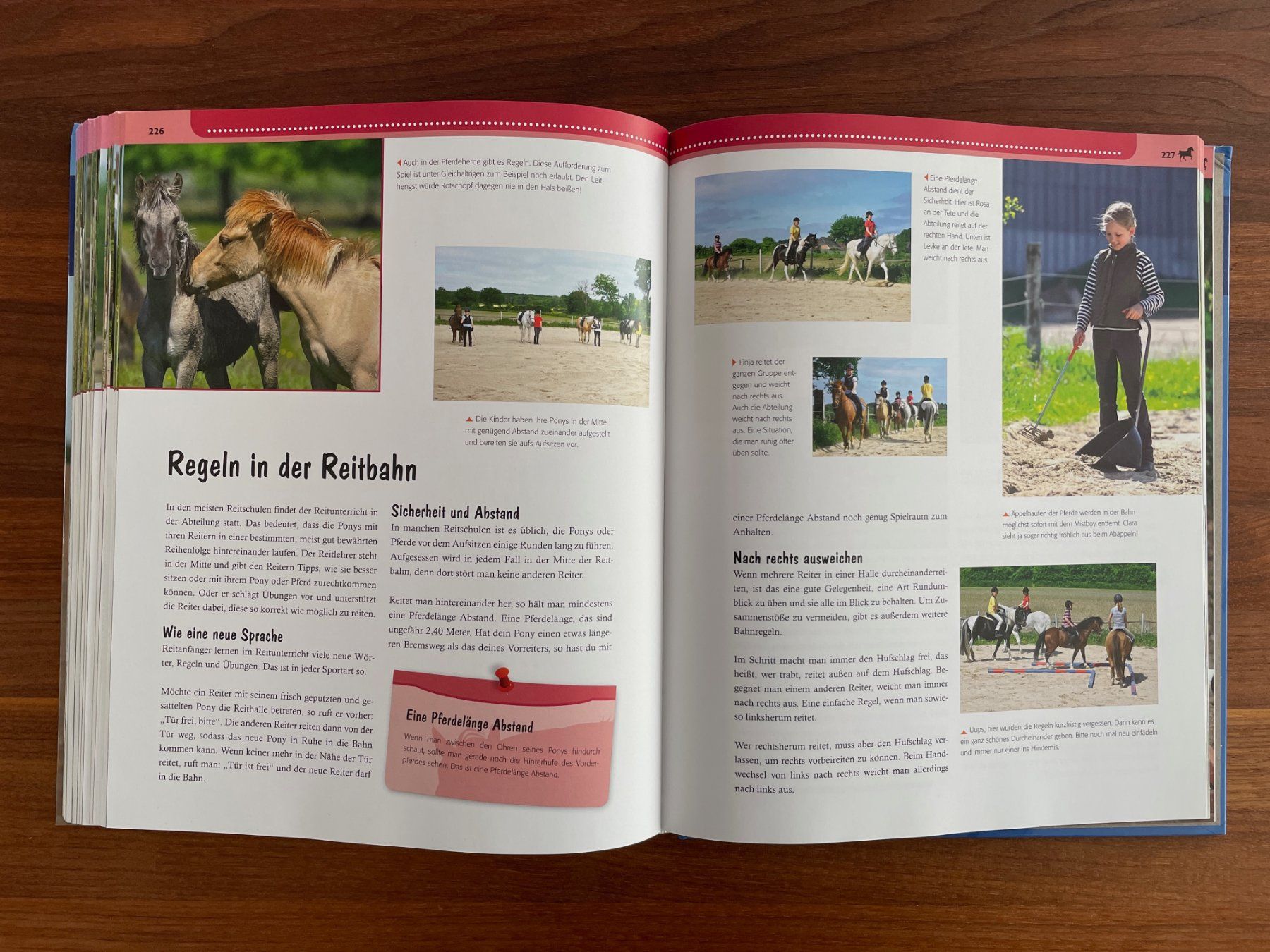 Libri: KOSMOS: Mein grosses Buch vom Reiten – Usato da Laupen BE venduto da sabale 7