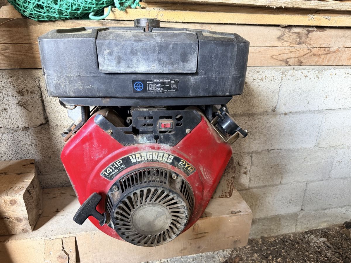 Vanguard  Motori: Moteur Vanguard 14HP – Difettoso da Val-d'Illiez venduto da axel1291