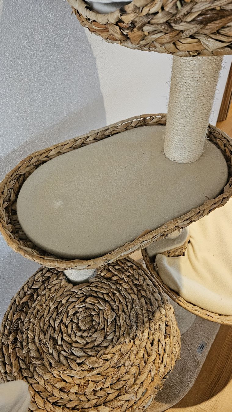 Katzenbaum Karlie Banana Leaf (Gebraucht) in Bremgarten AG fr CHF 76  nur  Abholung auf Ricardo kaufen