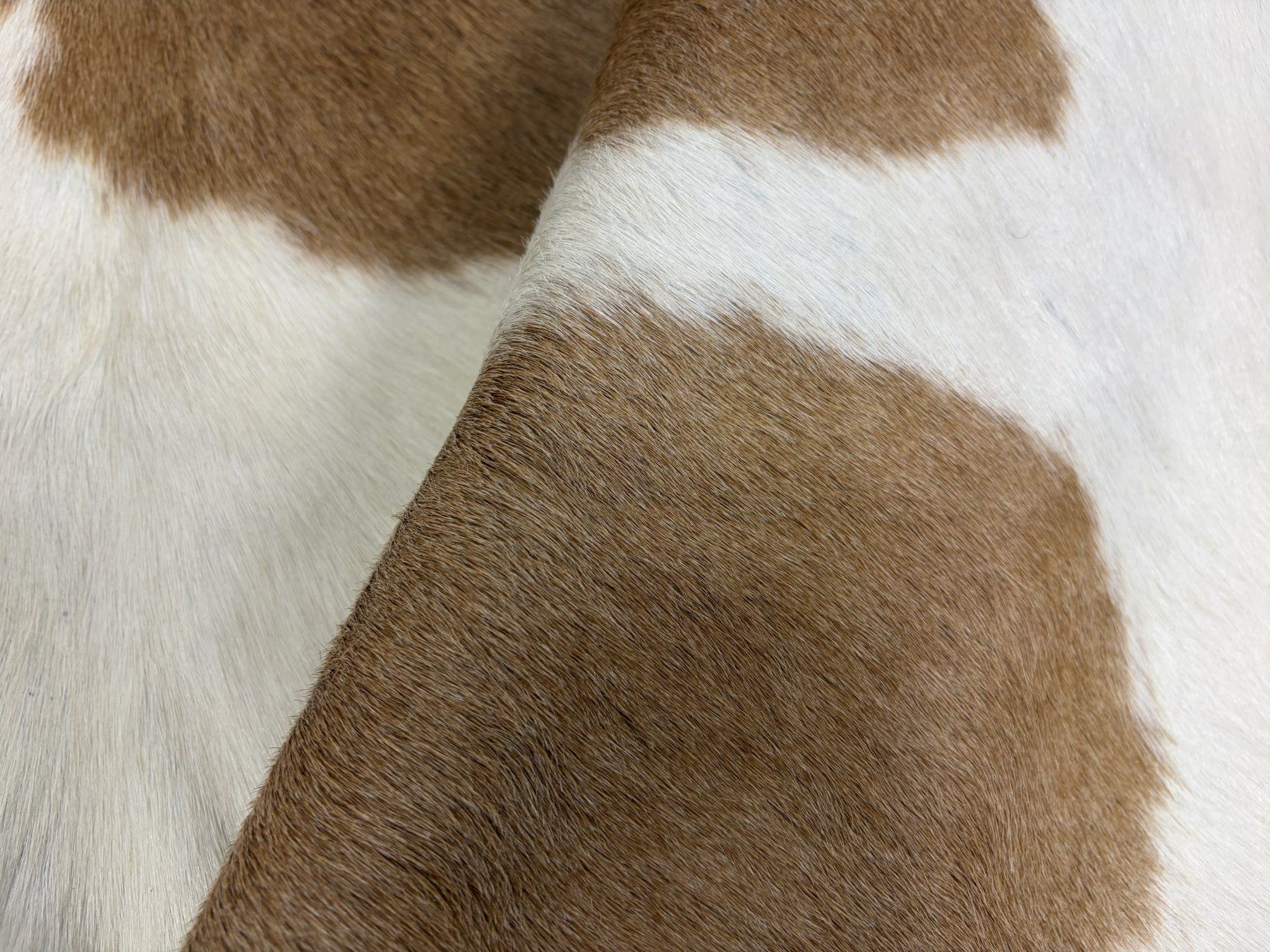 Teppiche: echtes Kuhfell Teppich – Neu und originalverpackt aus Arbedo von patagonialeatherrugs 3