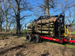 Möre Maskiner Rückewagen Sf 14 Kran 8.5m Druckluftbremse