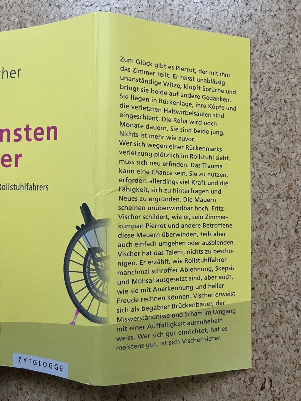 Libri: Buch "Ansonsten munter - Einsichten eines Rollstuhlfahrers" – Usato da Grosswangen venduto da Vita500 2