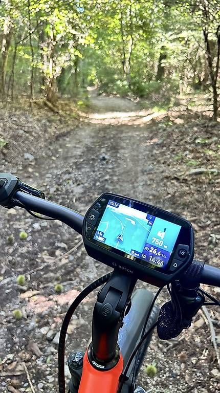 Biciclette: E-Bike TREK Powerfly 7 – Usato da Emmenbrücke venduto da KURT031 4