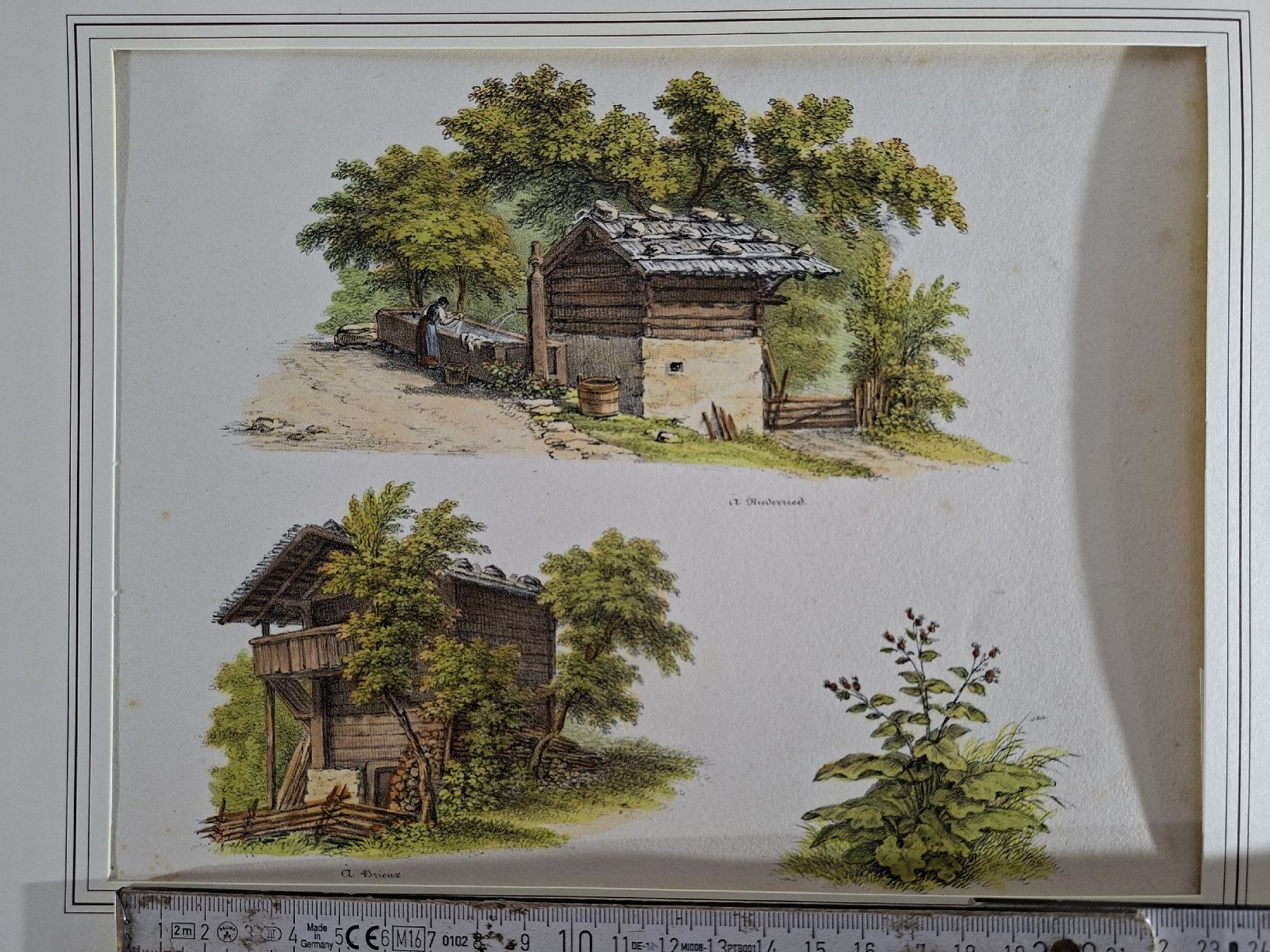 Incisioni: Lot 20, 5 Stiche  – Usato da Grindelwald venduto da carro5 1