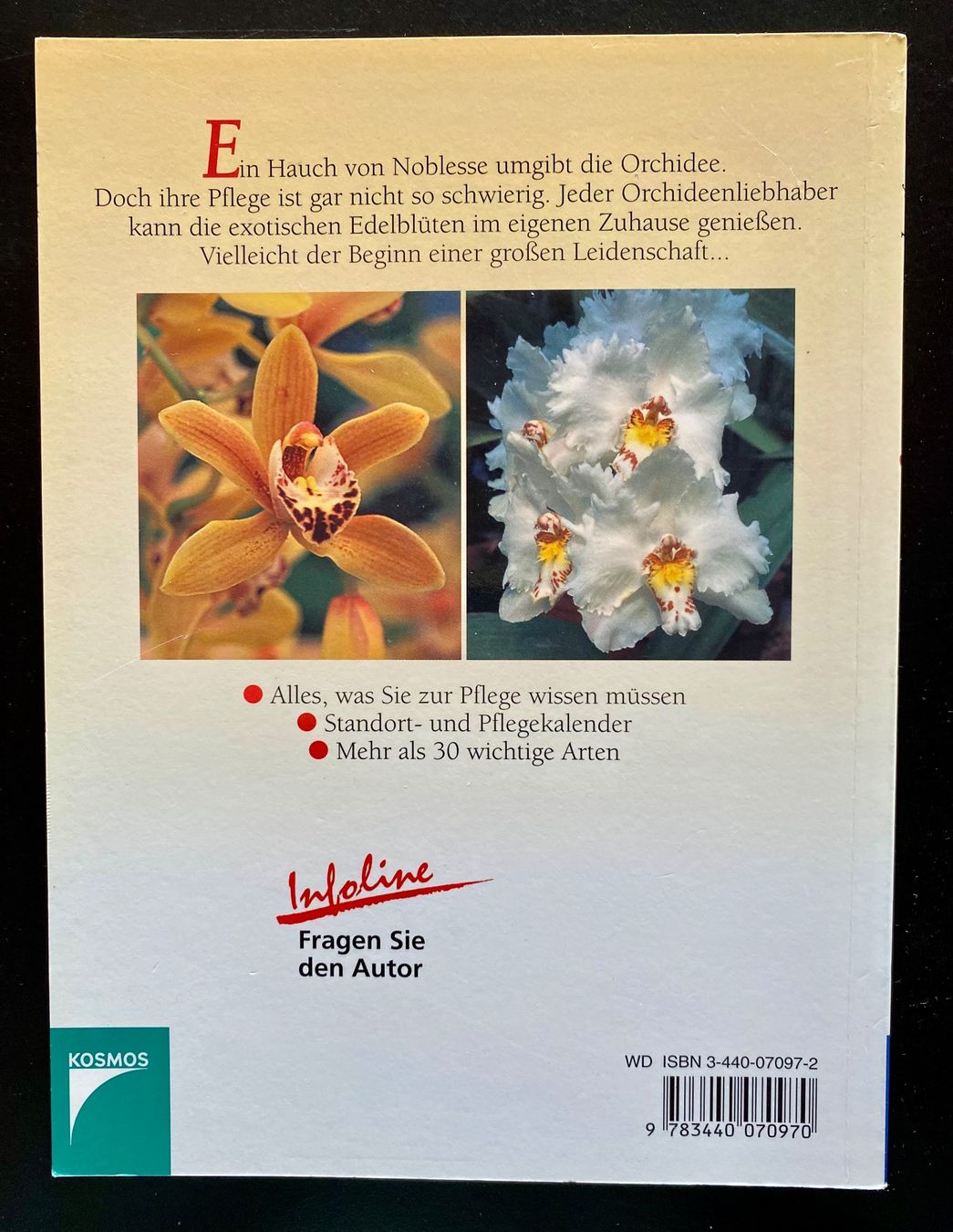 Libri: ORCHIDEEN / RATGEBER – Usato da Nussbaumen AG venduto da schuba2000 1