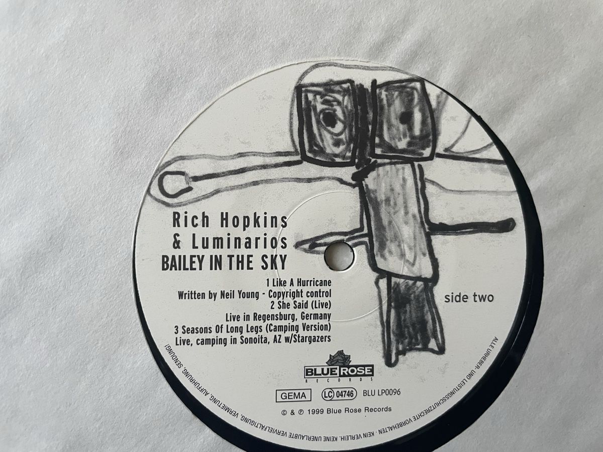 Dischi in vinile: Rich Hopkins & Luminarios - Devolver - Vinyl Lp – Usato da Olten venduto da Bluespapst 1