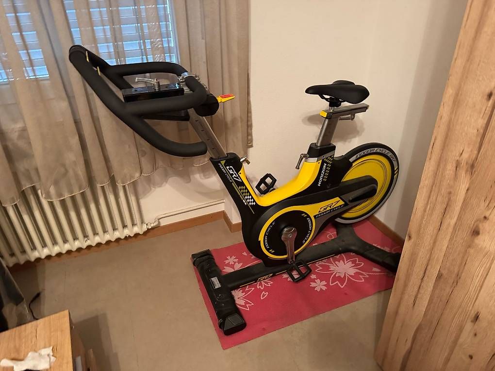 Horizon Hometrainer: Horizon GR7 – Usato da Ebmatingen venduto da x_v_9kjf 2
