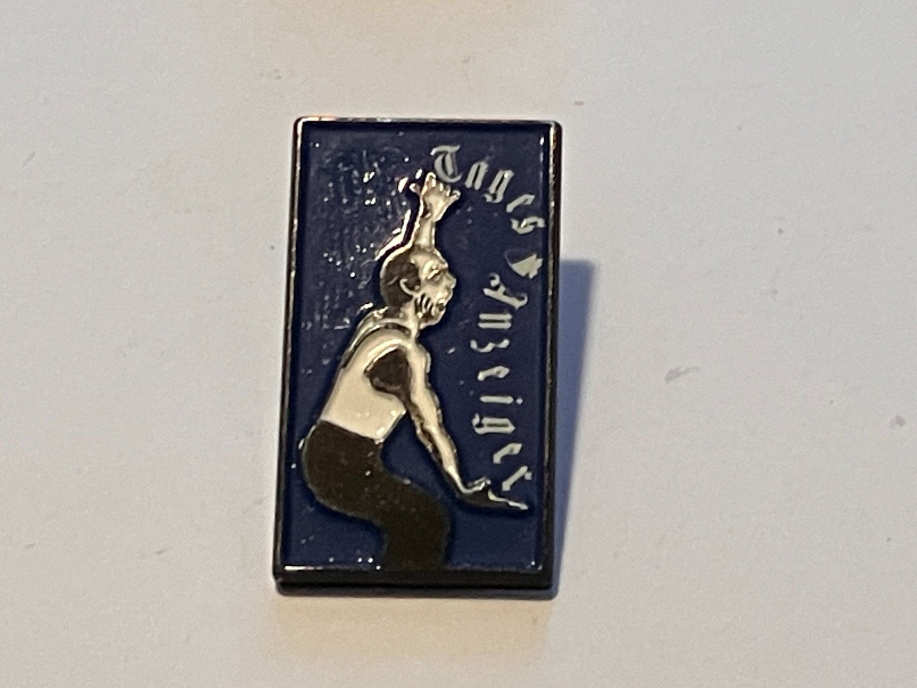 Placchette & Badge: 1 Pin Tages Anzeiger – Usato da Basel venduto da djwwpp