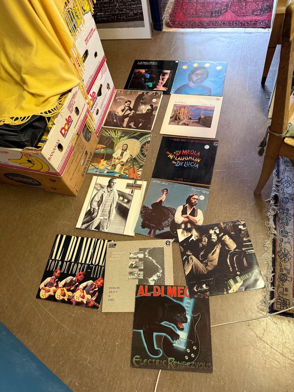 Dischi in vinile: Grosse Sammlung Langspielplatten AL DI MEOLA – Usato da Bern venduto da Jwpm66