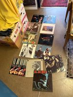 Grosse Sammlung Langspielplatten AL DI MEOLA