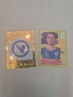 Panini Sticker WM 26 BIH 1 und BIH 3