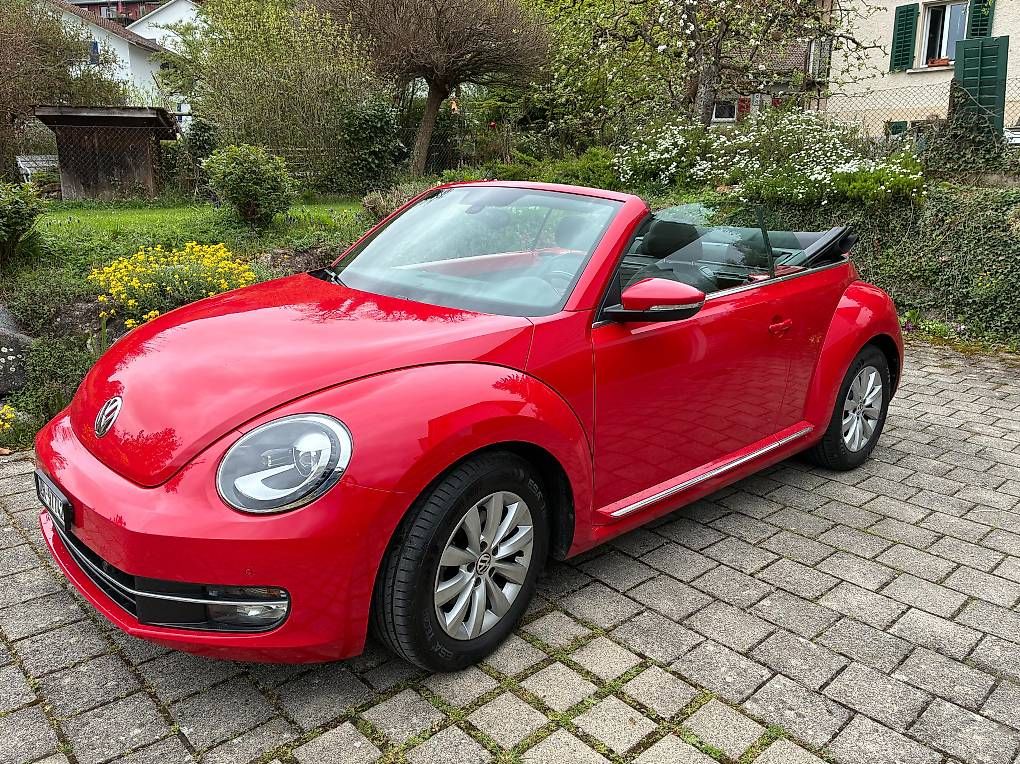 Automobili: Beetle Cabriolet – Usato da Freienstein venduto da Straessler 1
