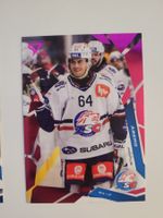 2025/26 ZSC Lions Pontus Aberg pink