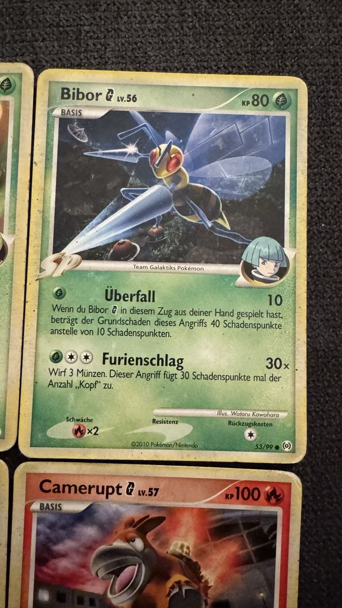 Pokémon Carte collezionabili: Pokemon Karten Arena Leiter Set – Nuovo (secondo la descrizione) da Dietlikon venduto da abd_7qwy 3