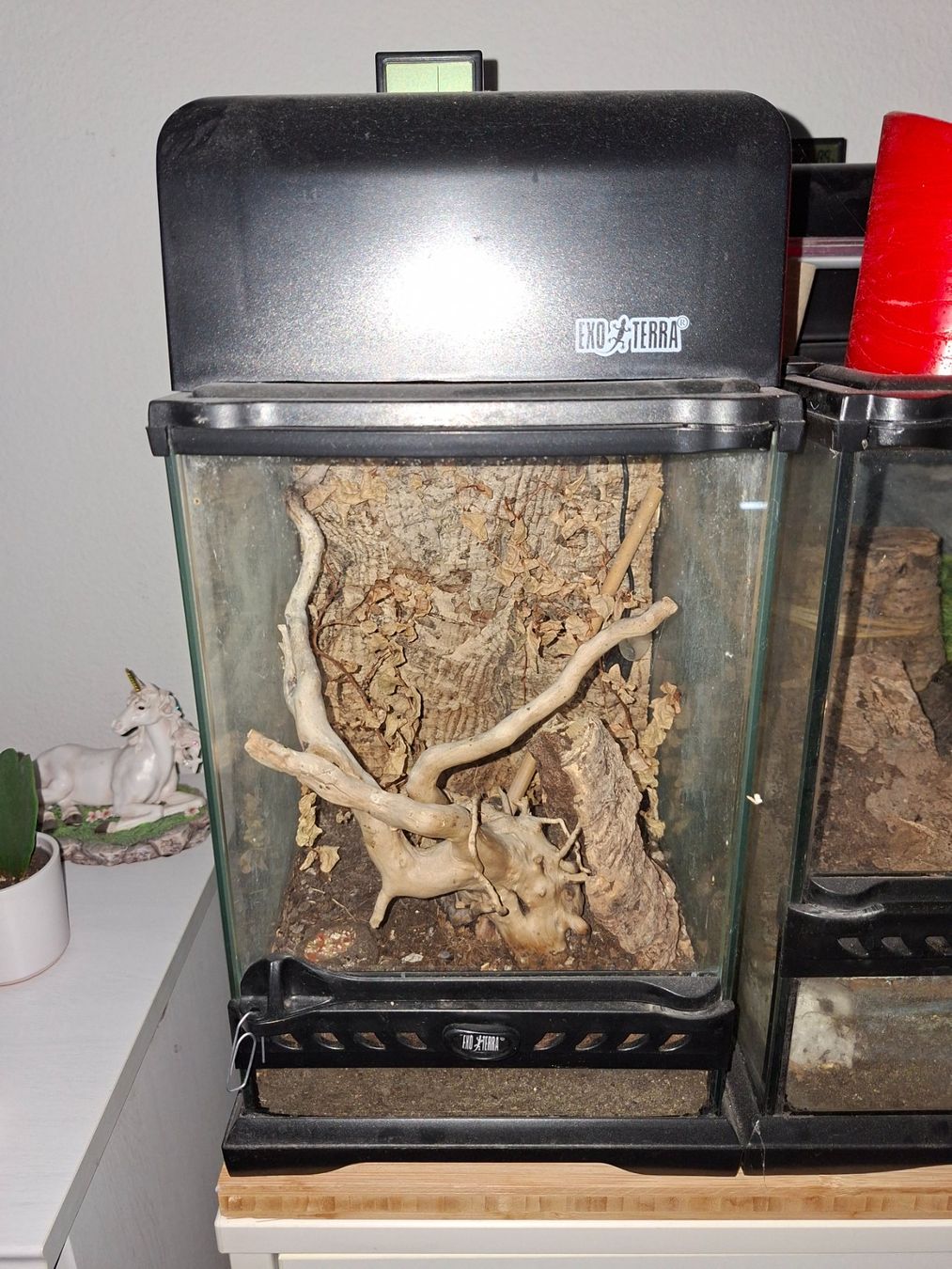 Exo terra Terrario: Terrarium Exo Terra klein – Usato da Zürich venduto da ladyshana84