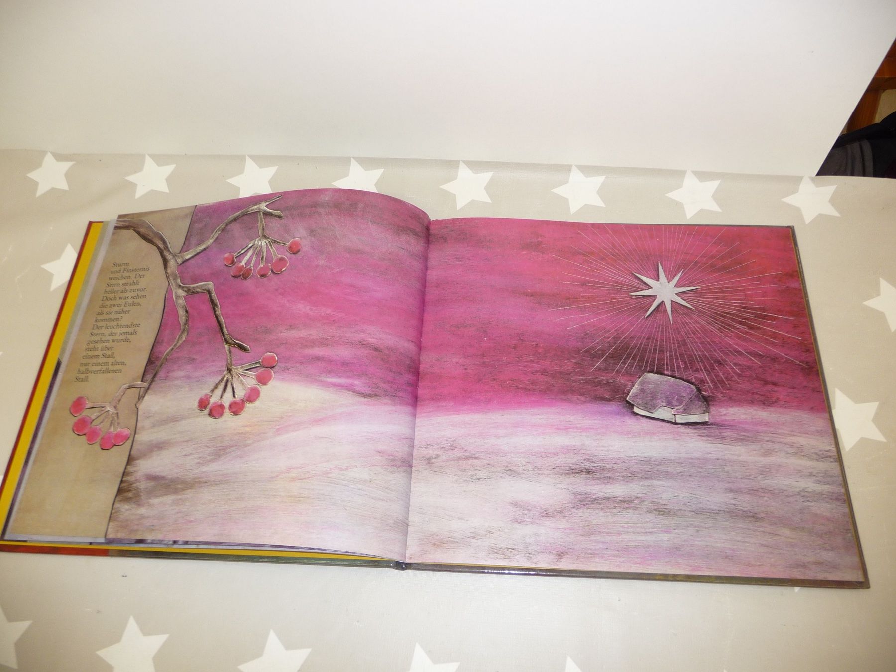 Libri: Buch: Eine Wundersame Nacht Else Schwenk-Anger – Usato da Rafz venduto da Powacaddy 3