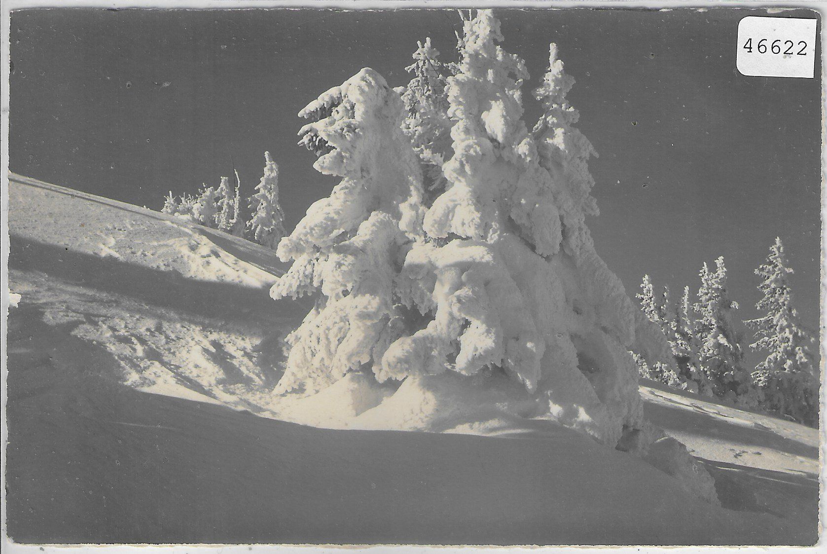Cartoline postali: Schneetannen - Photo: E. Gyger – Usato da Ettingen venduto da Kartenplanet