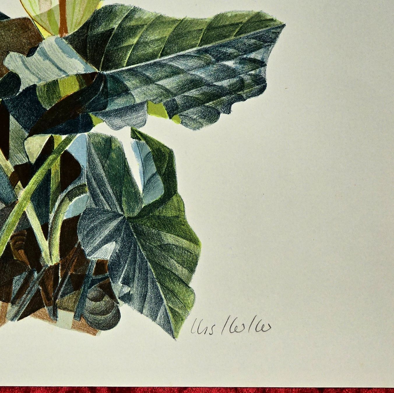 Grafica & Litografie: Original-Lithografie. Handsigniert&nummeriert – Usato da Reinach BL venduto da Pendling 2