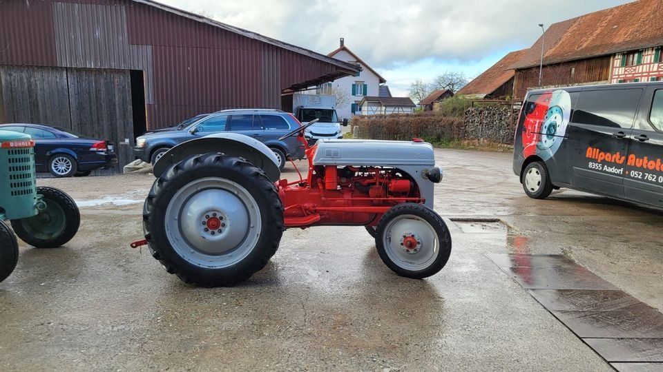 Ford Trattori: Traktor / Ford 8N – Usato da Engwilen venduto da FaehAnhaengerGmbH 4
