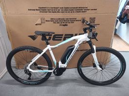 Gepida Sirmium Pro tg49