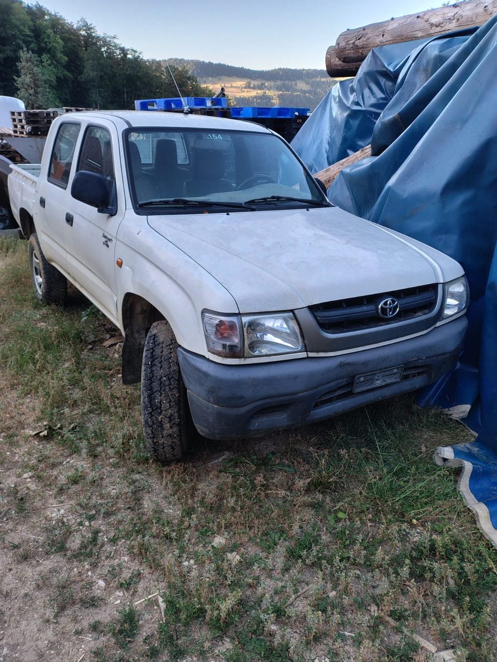 Toyota Automobili: Toyota Hilux – Usato da Beinwil SO venduto da svro