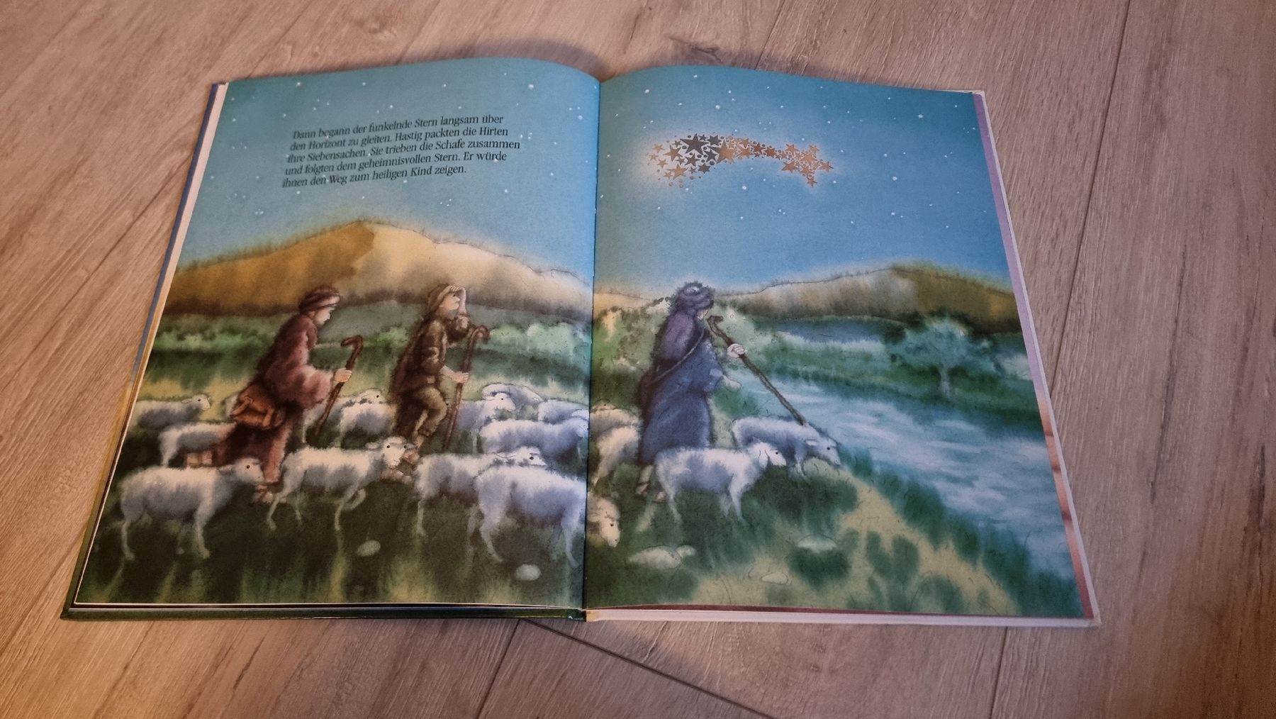 Bücher: Der Weihnachtsstern - Wunderschönes Kinderbuch – Gebraucht aus Wigoltingen von Zuckerfee84 1