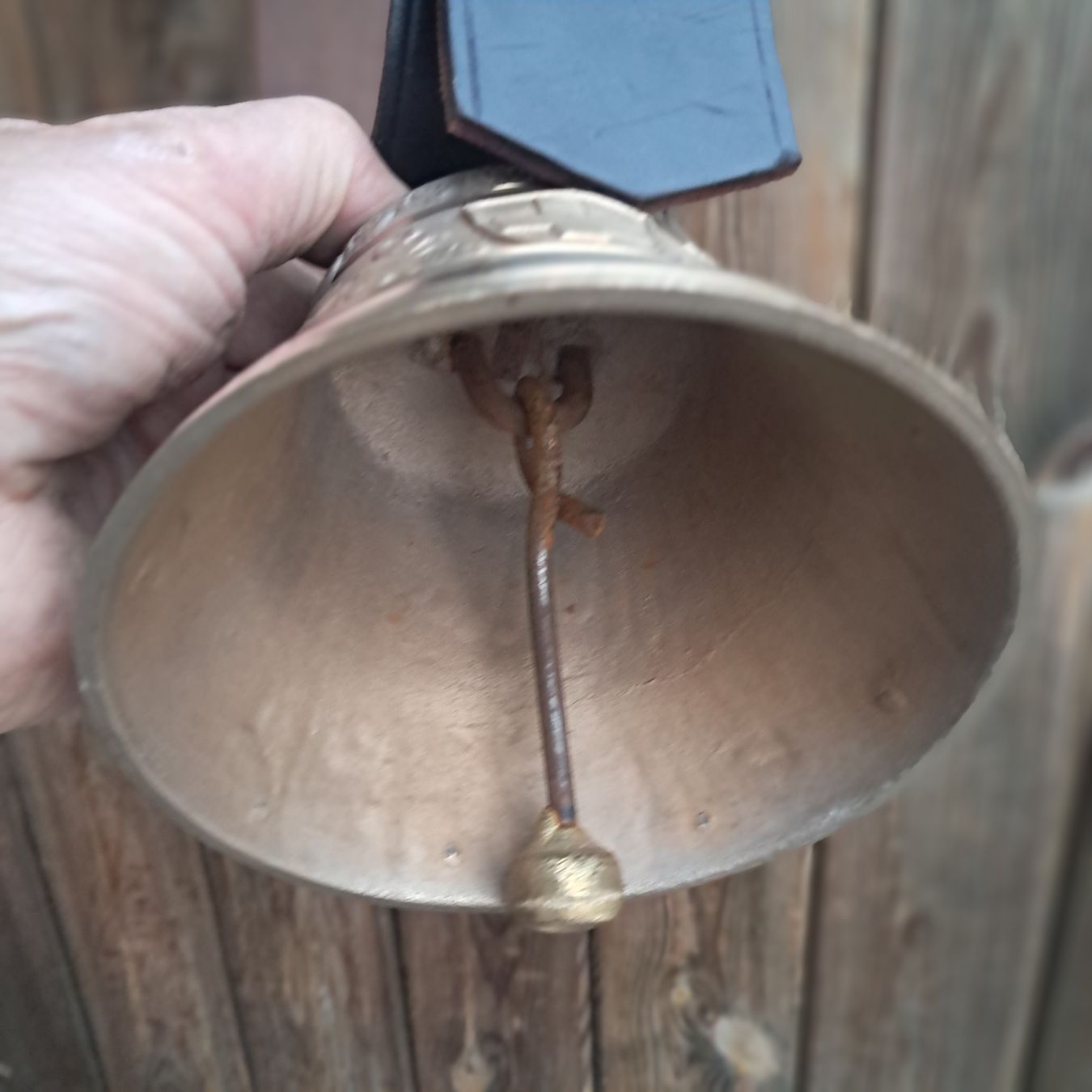 Campanacci mucche: NEUWERTIGE GLOCKE GUSSET  – Usato da Murten venduto da SHETHOF 6
