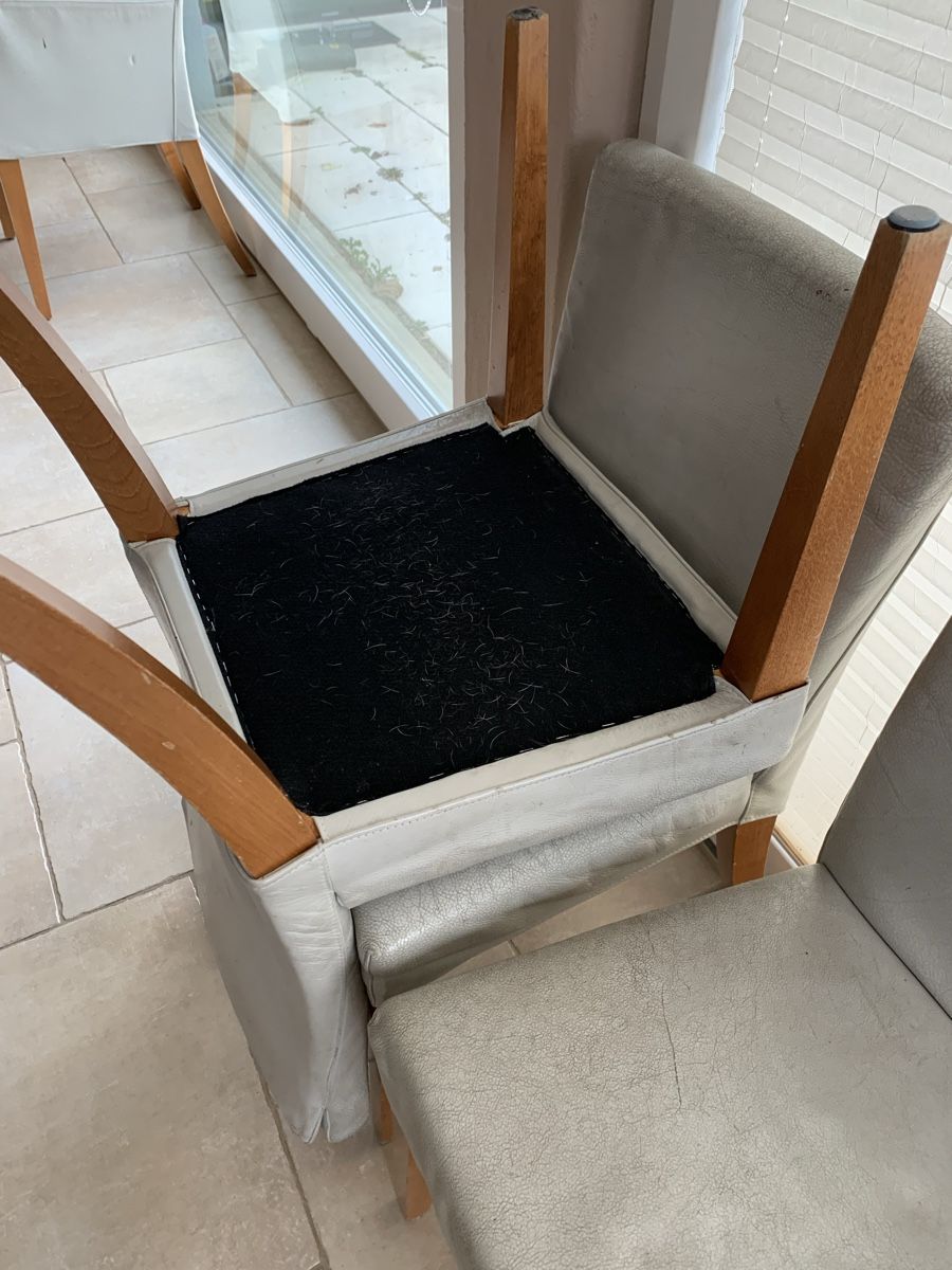 Sedie: 6 ältere beige Leder-Esszimmer-Stühle – Usato da Oberweningen venduto da Bumblebee2 3