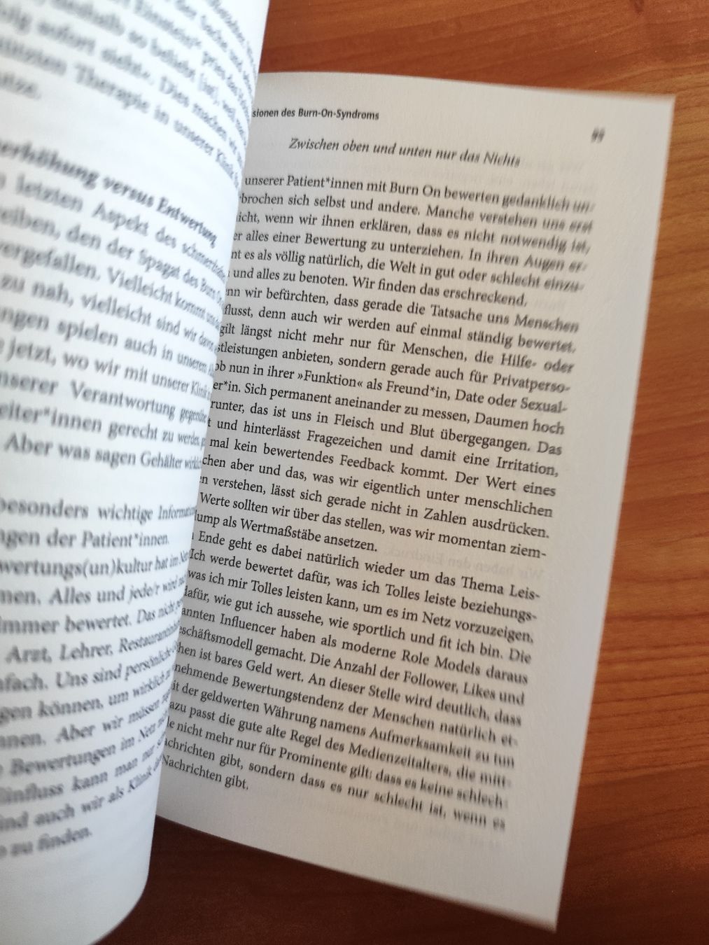 Libri: Burn On von Bert te Wildt Timo Schiele  – Usato da Mägenwil venduto da VintageGirly 4
