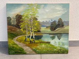 46 cm breitx38cmhochÖlgemälde Frühlingslandschaft See Bergen