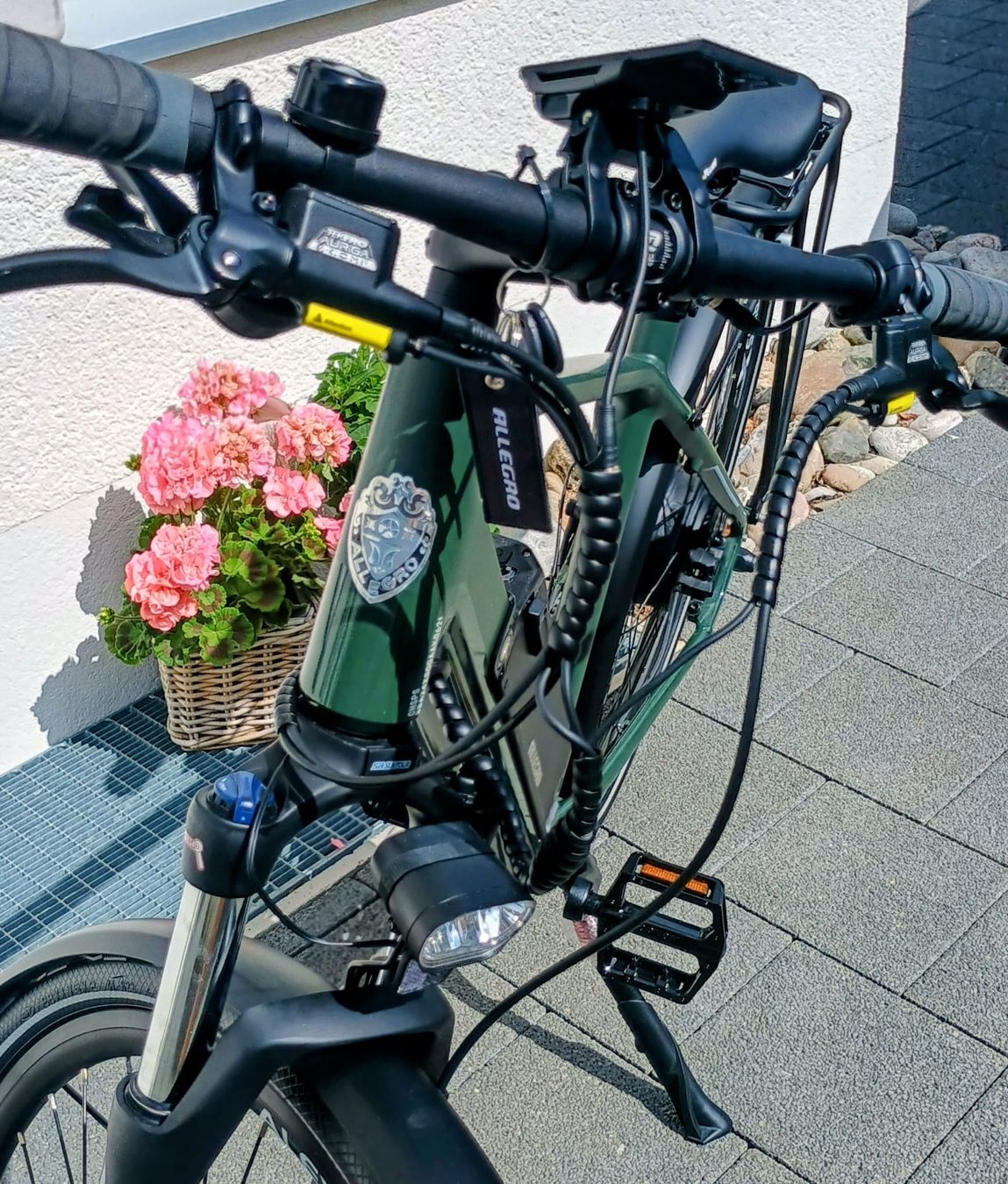 Biciclette: Allegro speedbike 45kmh – Nuovo (secondo la descrizione) da Plaffeien venduto da gsxr88