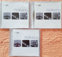 Hörbuch/ 3 Audio CDs: Wellbeeing - soho