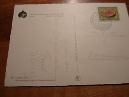 Karte Schweiz. Gartenbauausstellung, 1959 Zürich, Sonder-o